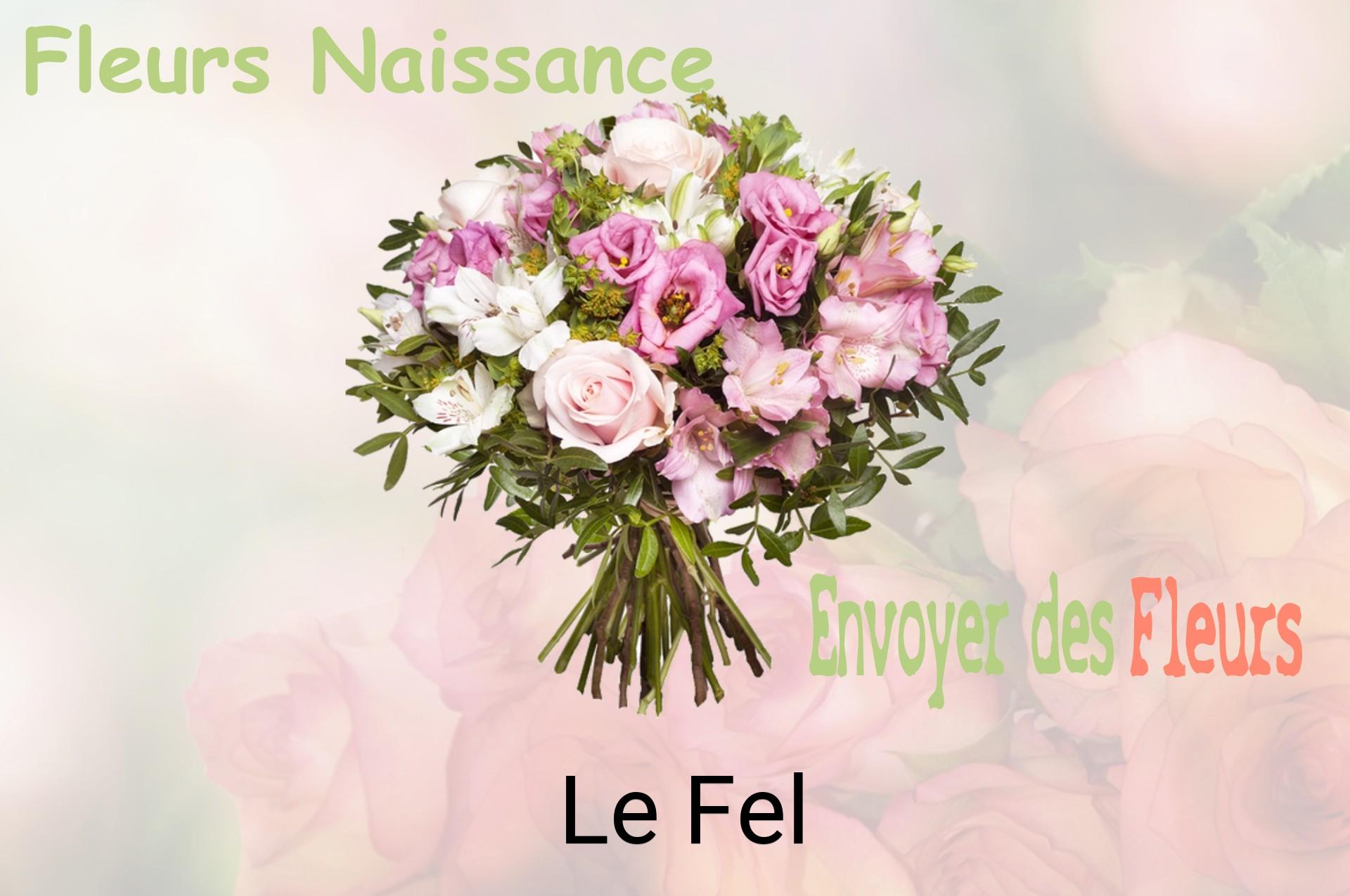 Bouquet de fleurs de naissance livré à Le Fel