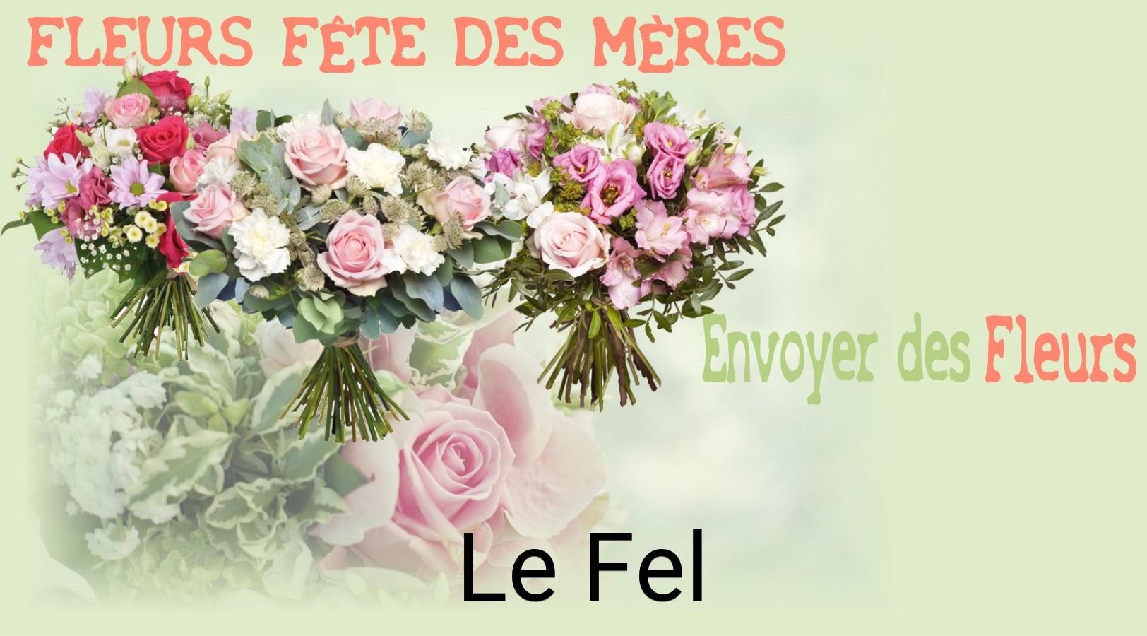 Bouquet de Fête des Mères livré à Le Fel